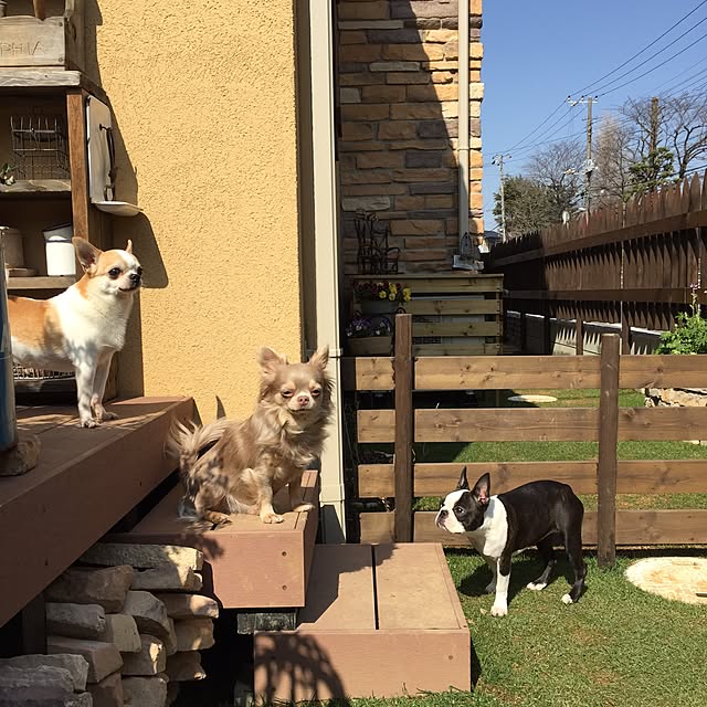 yumiさんの実例写真