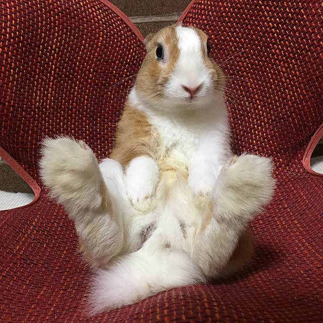 muuさんの実例写真