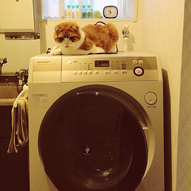 hitoさんの実例写真
