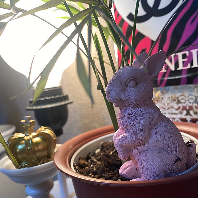 Parisさんの実例写真