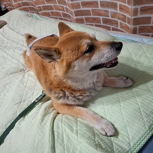 nanaさんの部屋