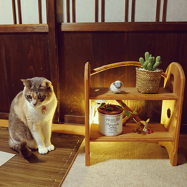 fukuさんの実例写真
