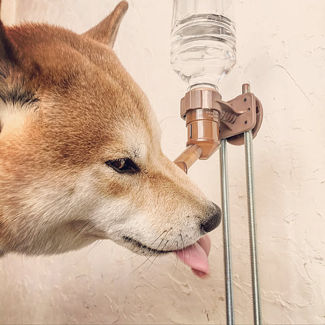 diez_taraさんの実例写真