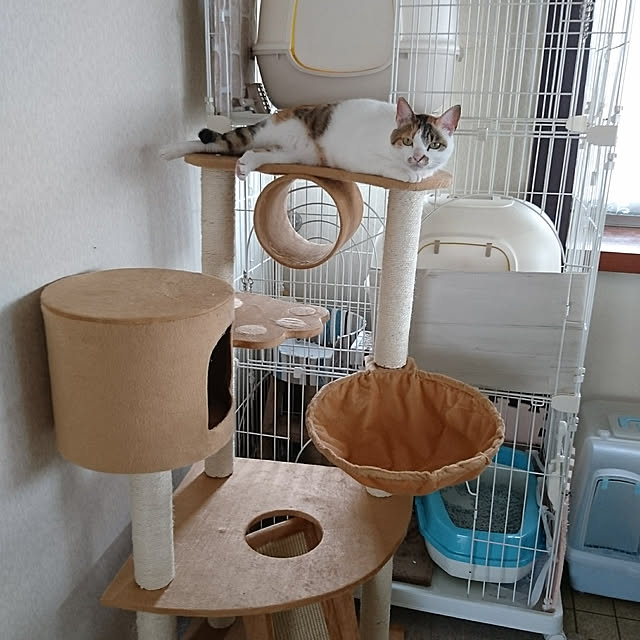taleo07さんの実例写真