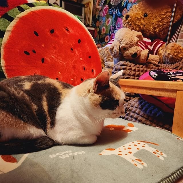 kumutanさんの実例写真