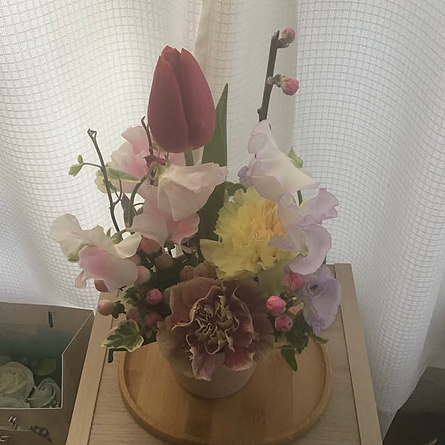 sakuさんの部屋