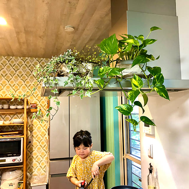 Yukoさんの実例写真