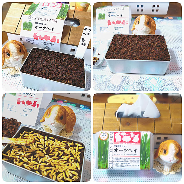 mariaさんの実例写真