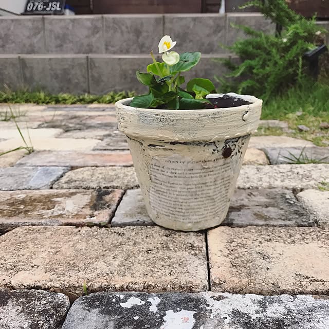capelさんの実例写真