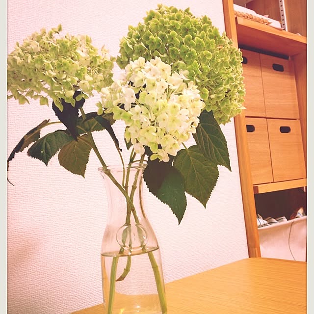 haneさんの実例写真