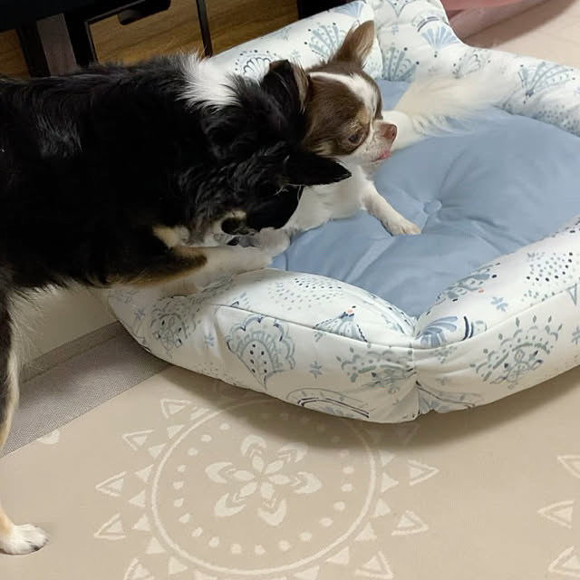 makoさんの実例写真