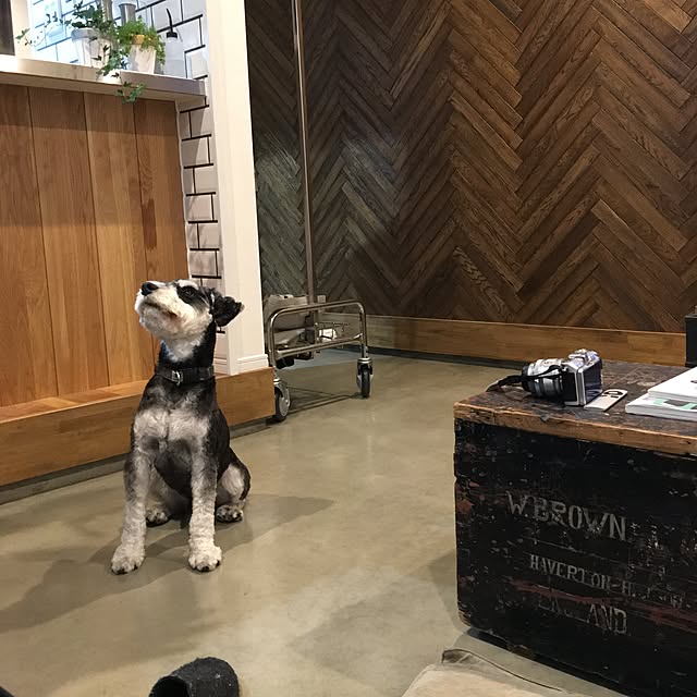 margoandcoさんの実例写真