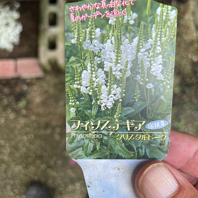 shin0719さんの部屋