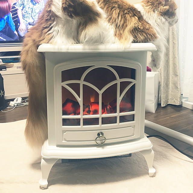 asuさんの実例写真