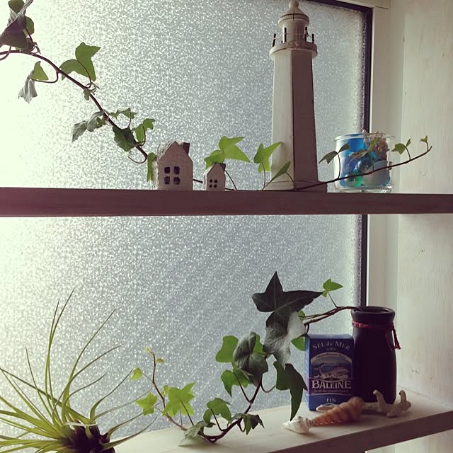 sakuさんの実例写真