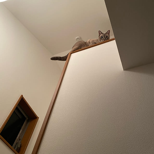zumayanさんの実例写真
