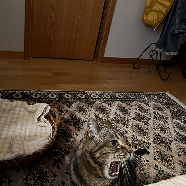 botanさんの部屋