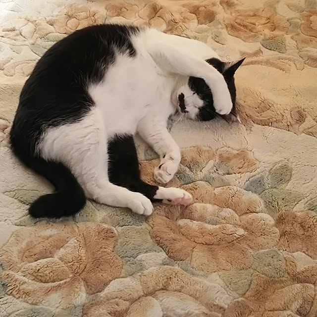 oliveさんの実例写真
