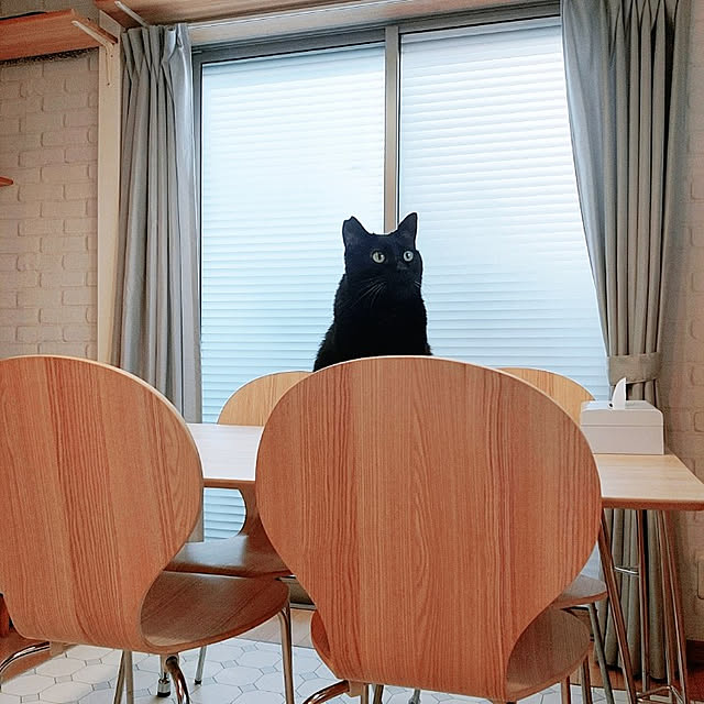 kirakirahikaruさんの実例写真