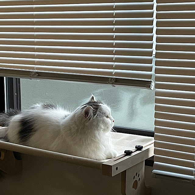 nyannyanさんの実例写真