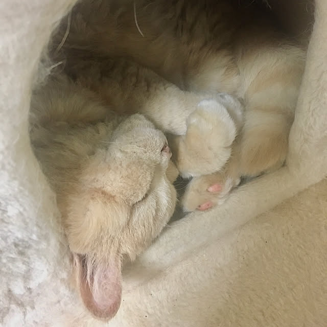 naokoさんの部屋