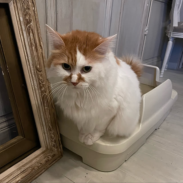 mannersさんの実例写真