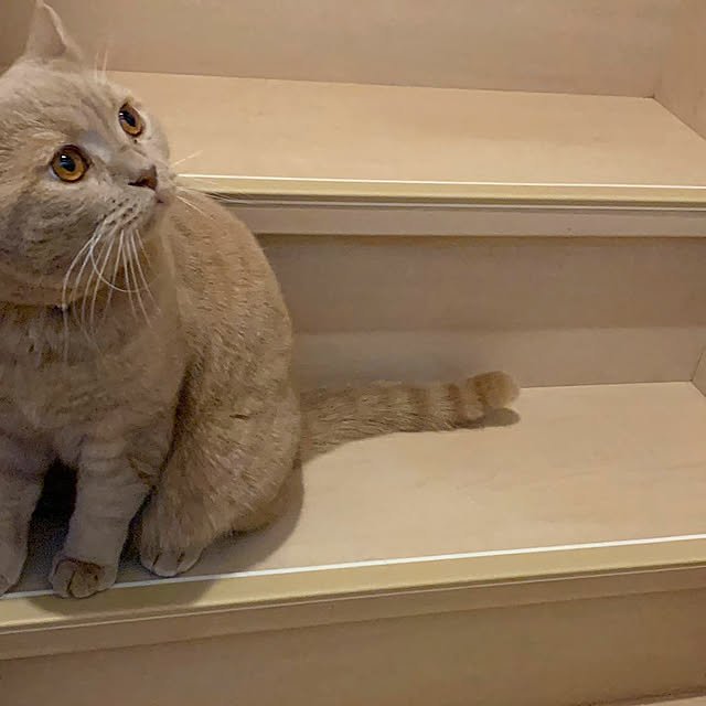 Assistさんの実例写真