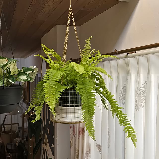 nonbiri_house_さんの部屋