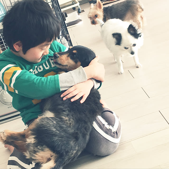 ohanaさんの実例写真