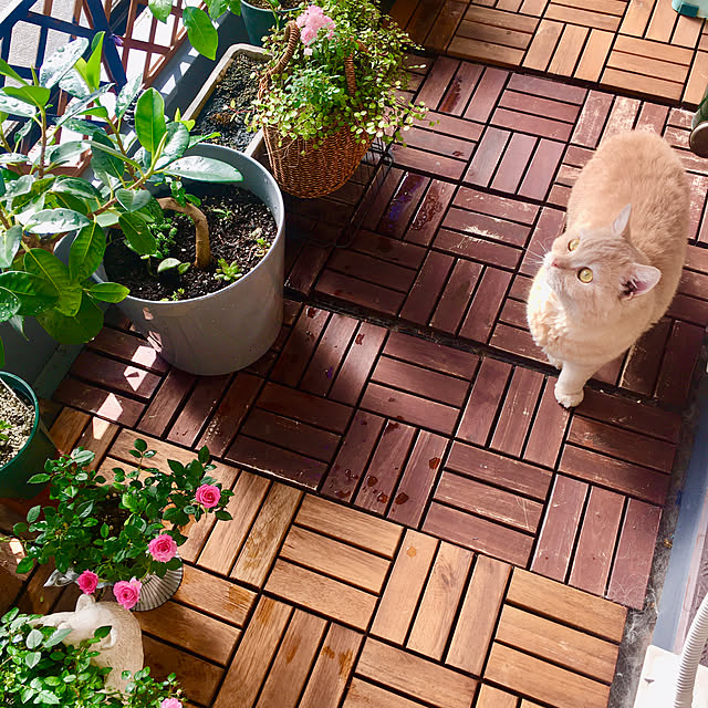naokoさんの部屋