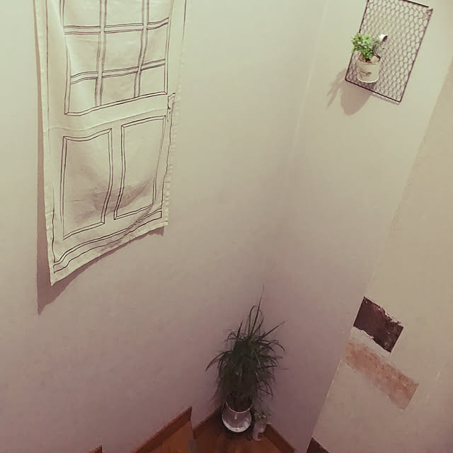 minaaisukiさんの実例写真