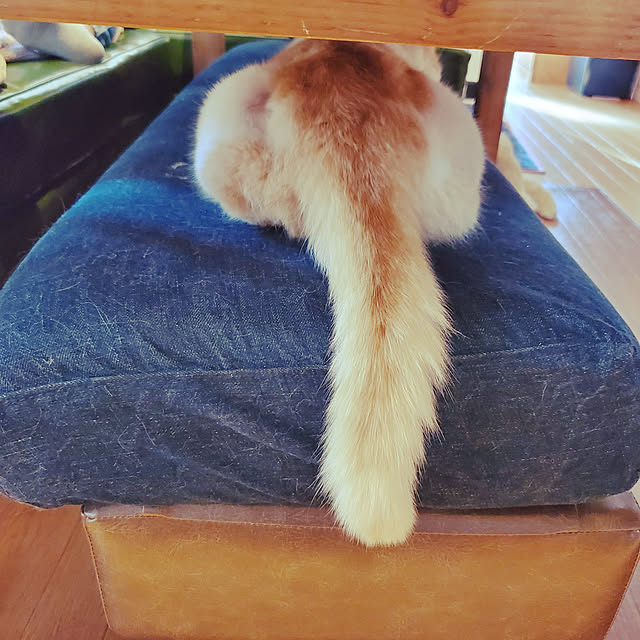 S.M.MOMさんの実例写真