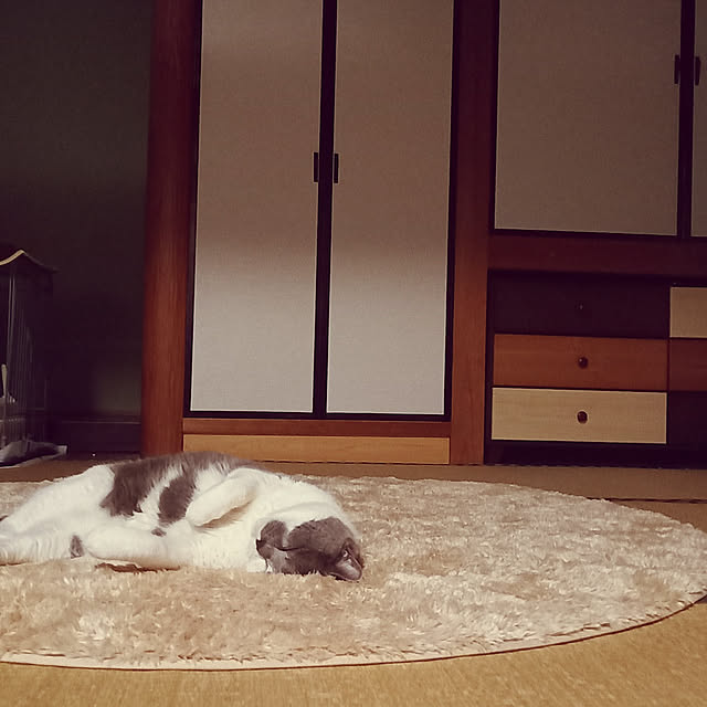 rhuさんの実例写真