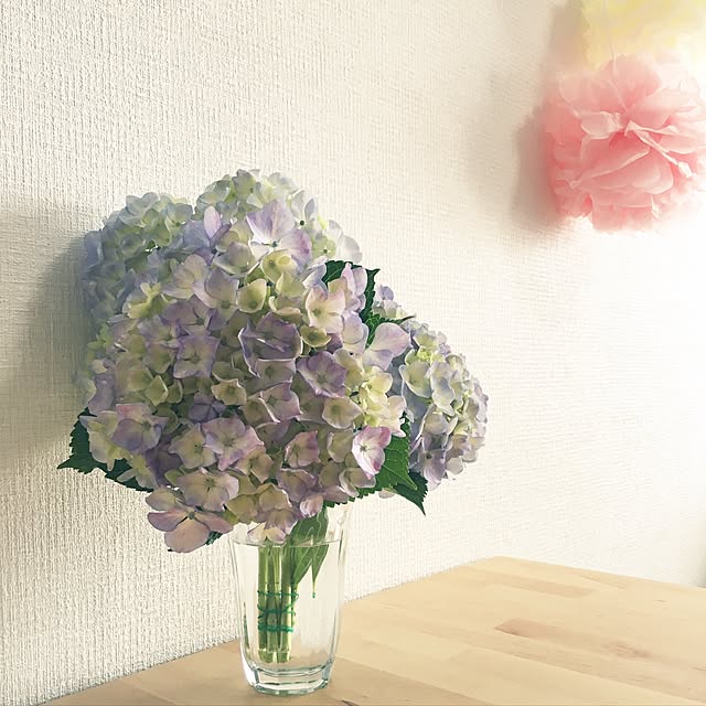 Mikakoさんの実例写真