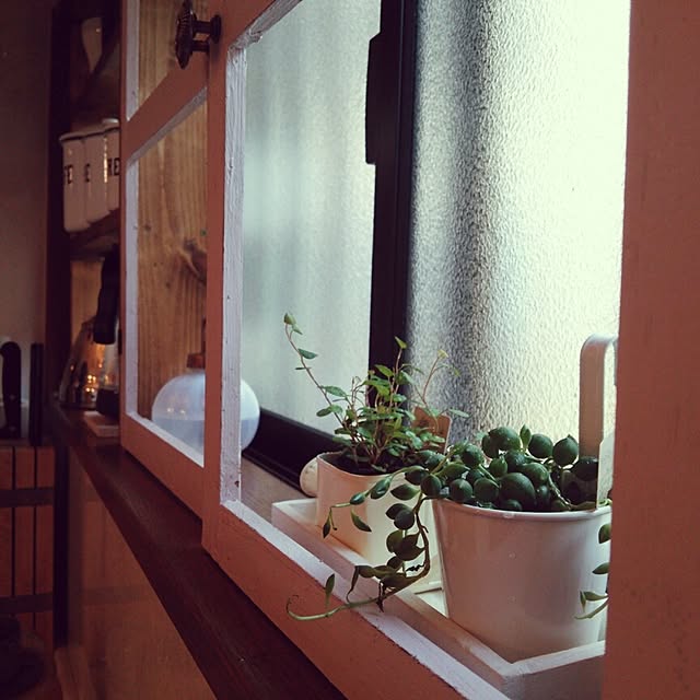 Hiromiさんの実例写真