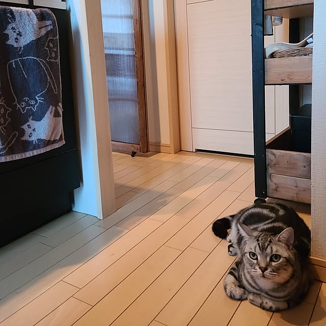 lovepeaceさんの部屋
