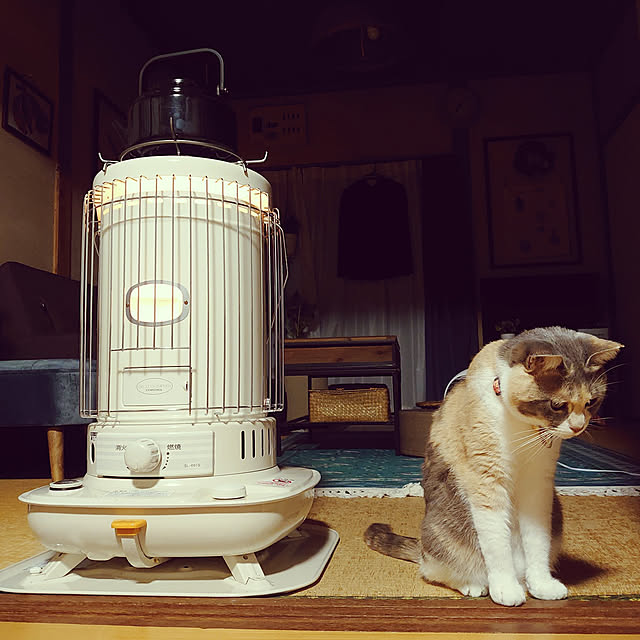 fukuさんの実例写真