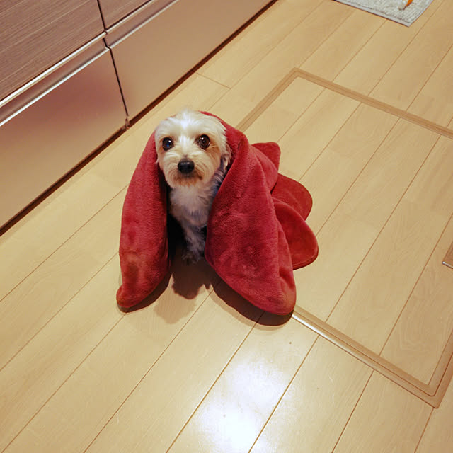 321さんの実例写真