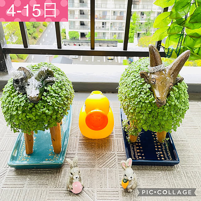 aureaさんの実例写真