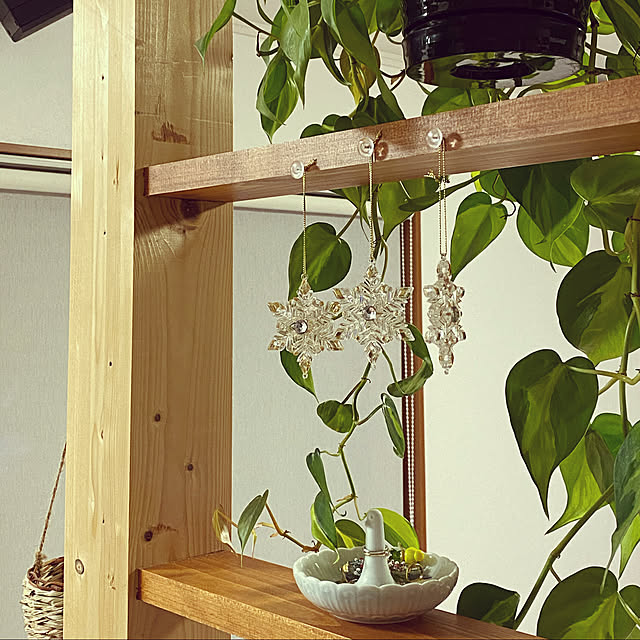 flower8823さんの実例写真