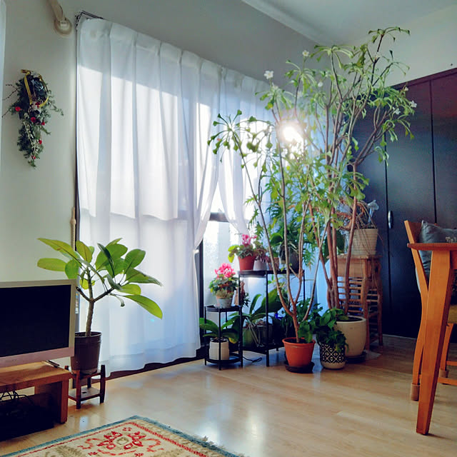 reko639さんの実例写真