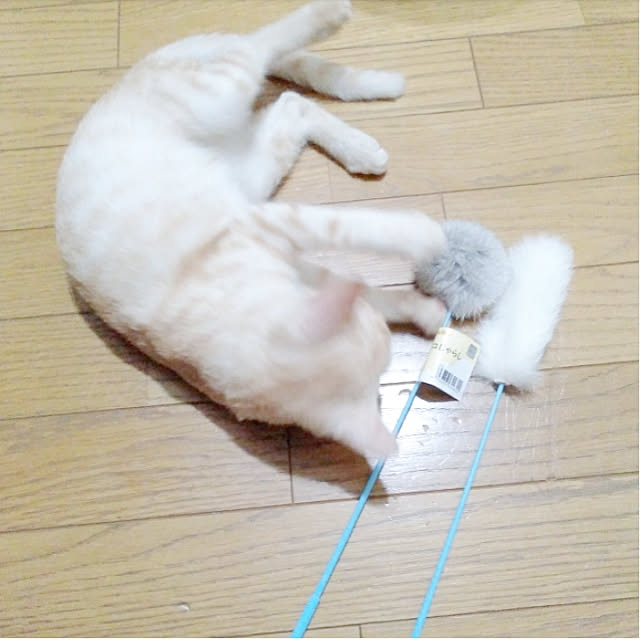 heart.emiemi57.whiteさんの実例写真