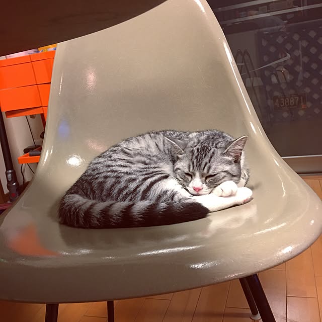 Shojiさんの実例写真