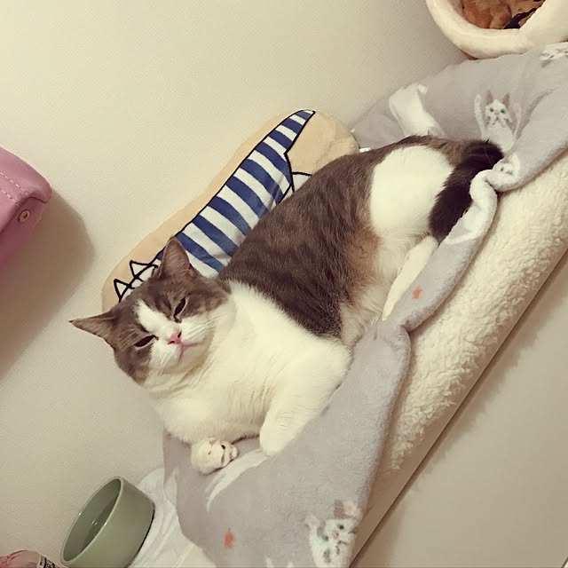 hikari_pppさんの実例写真