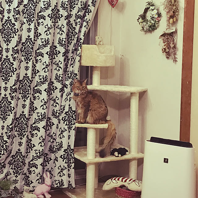 yukarinさんの実例写真