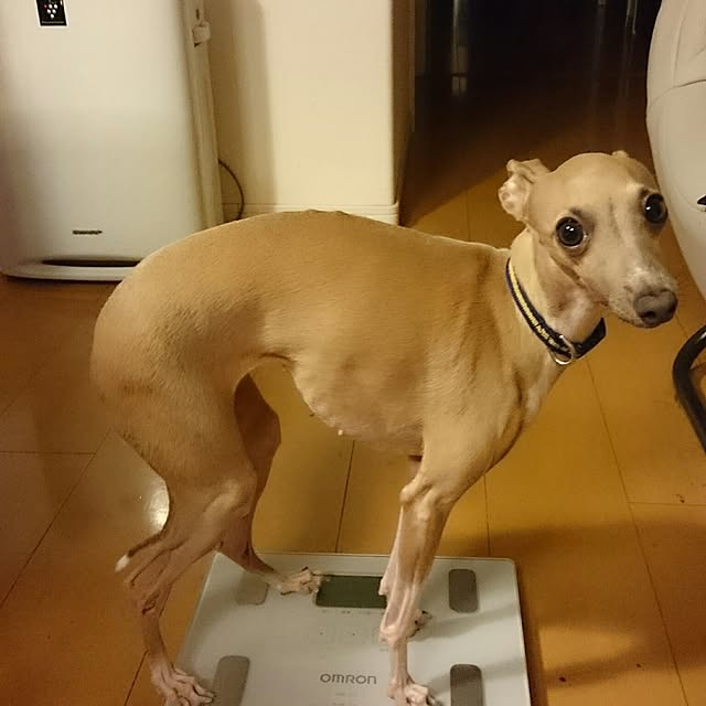 cavaさんの実例写真