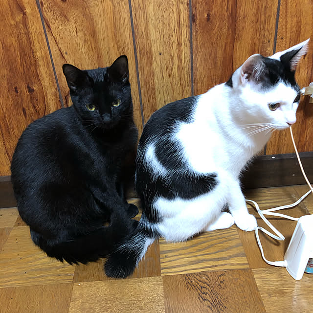 milkさんの実例写真
