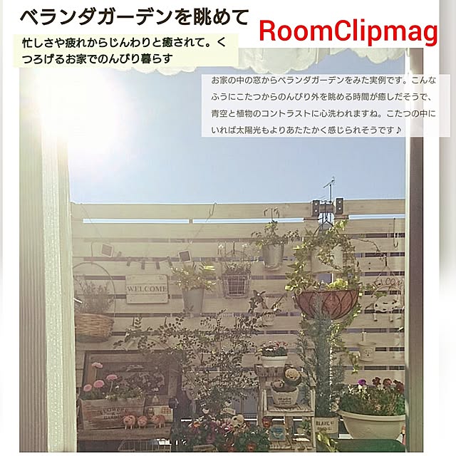mikanさんの部屋