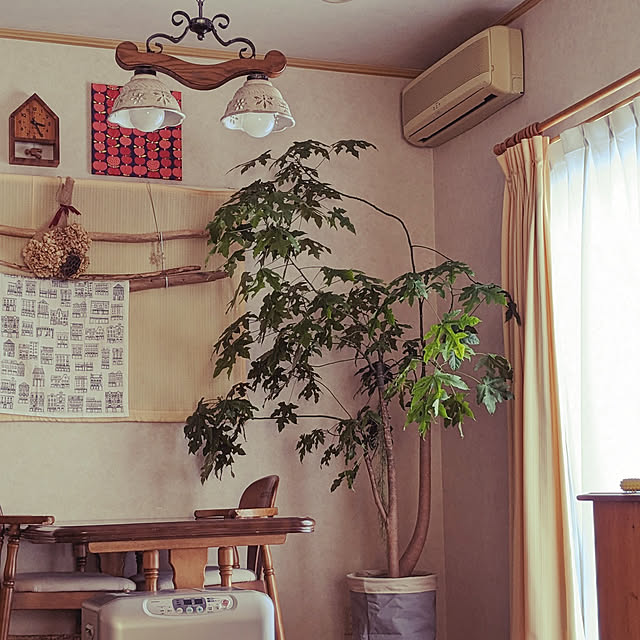 kouheiyuto24623takaさんの実例写真