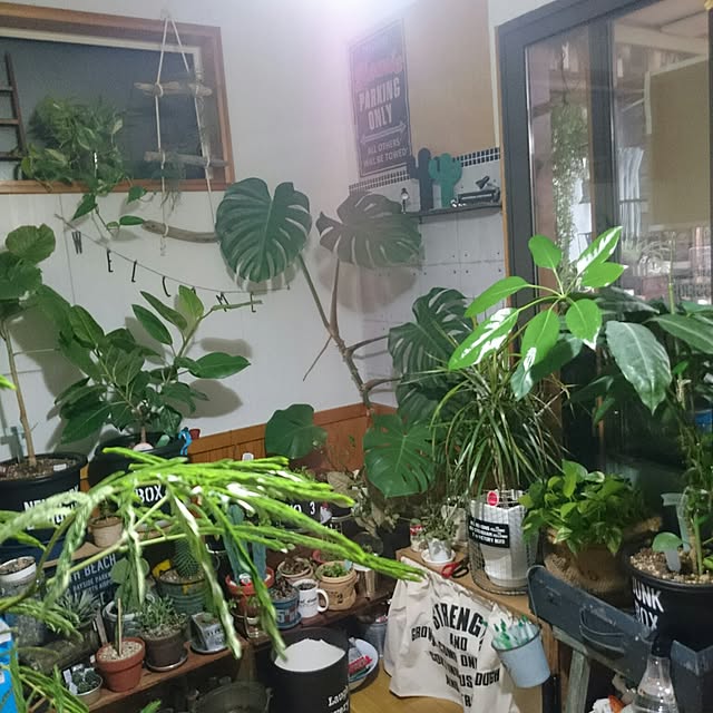 tikuwaさんの実例写真